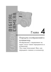 Страница 43