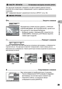 Страница 29