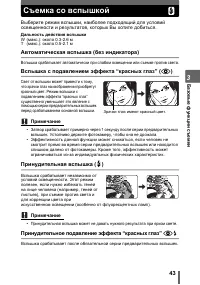 Страница 43