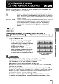 Страница 55