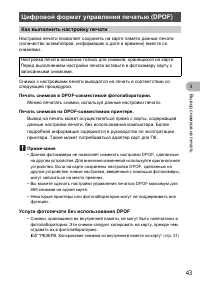 Страница 43