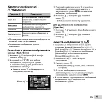 Страница 43