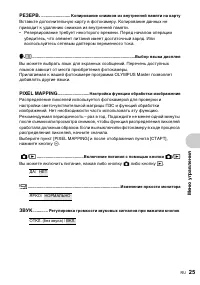 Страница 25