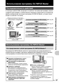 Страница 37