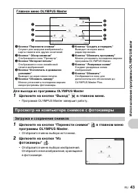 Страница 43