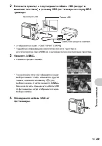 Страница 29