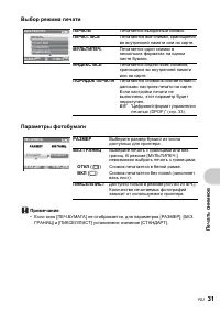 Страница 31