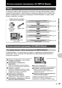 Страница 37