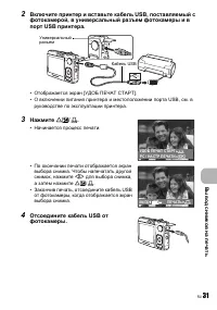Страница 31