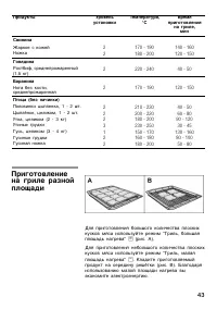 Страница 43