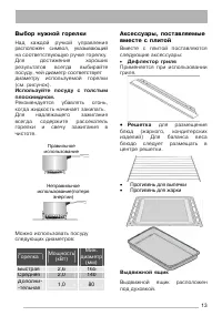Страница 13