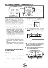 Страница 24