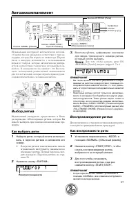 Страница 37