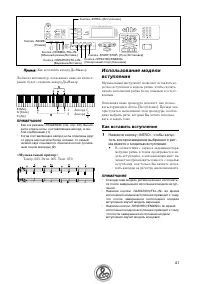 Страница 41
