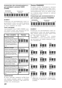 Страница 28