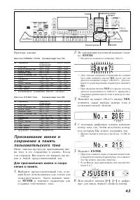 Страница 43