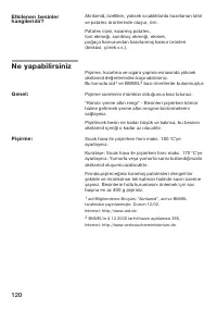 Страница 120