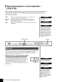 Страница 24