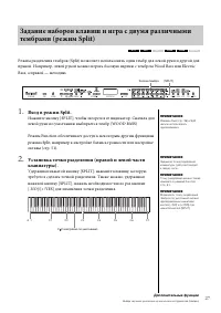 Страница 27