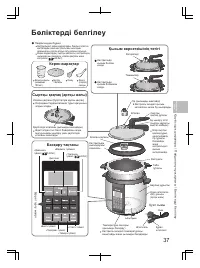 Страница 37
