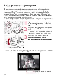 Страница 41