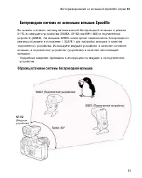 Страница 81