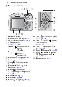Страница 42