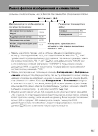 Страница 117