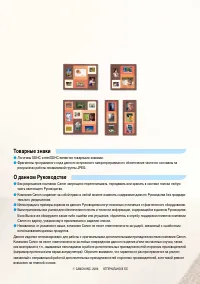 Страница 38