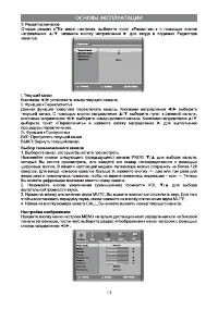 Страница 13