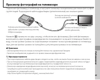 Страница 55