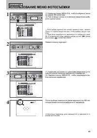 Страница 43