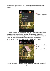 Страница 21