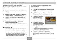 Страница 234