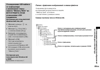 Страница 49