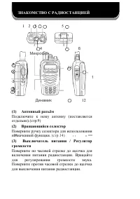 Страница 22
