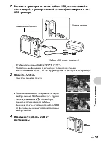 Страница 31
