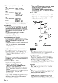 Страница 24