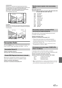 Страница 43