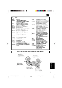 Страница 243