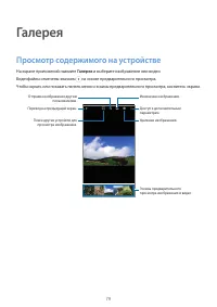 Страница 79