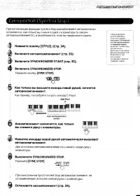 Страница 43