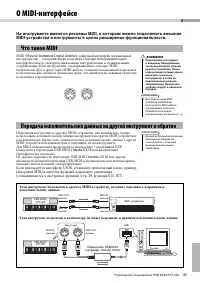 Страница 31