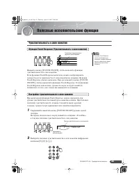 Страница 43