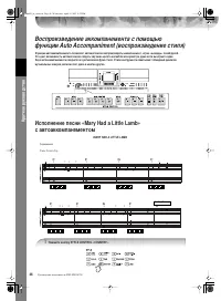 Страница 46