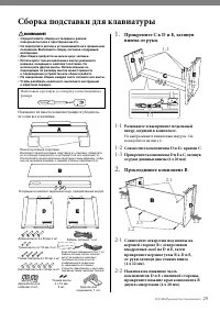 Страница 29