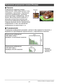 Страница 41