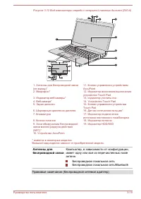Страница 55