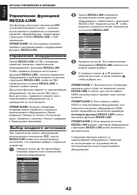 Страница 43