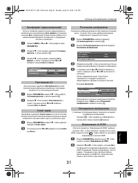 Страница 31